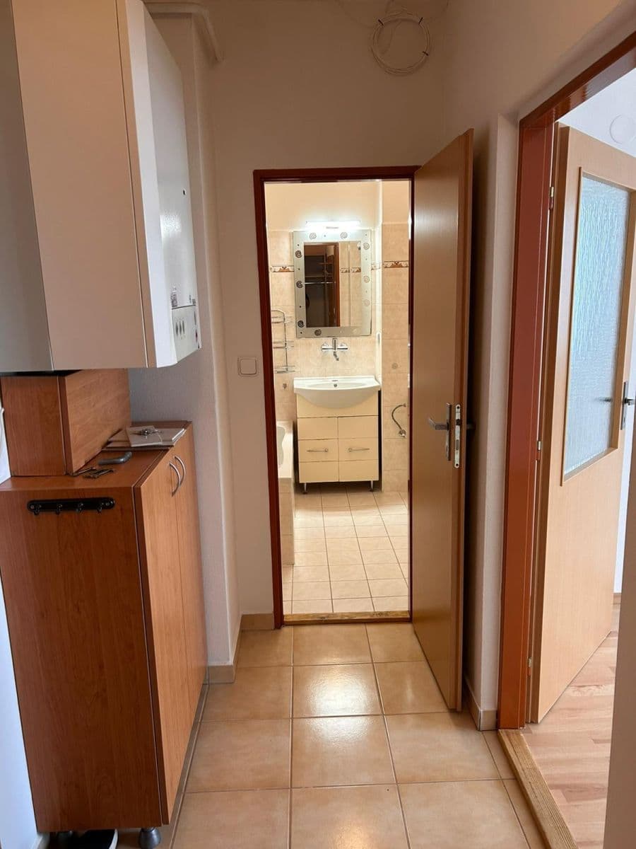 1 bedroom flat to rent, 28 m², J. Haška, Letovice, Jihomoravský Region 1 bedroom flat to rent, 28 m², J. Haška, Letovice, Jihomoravský Region