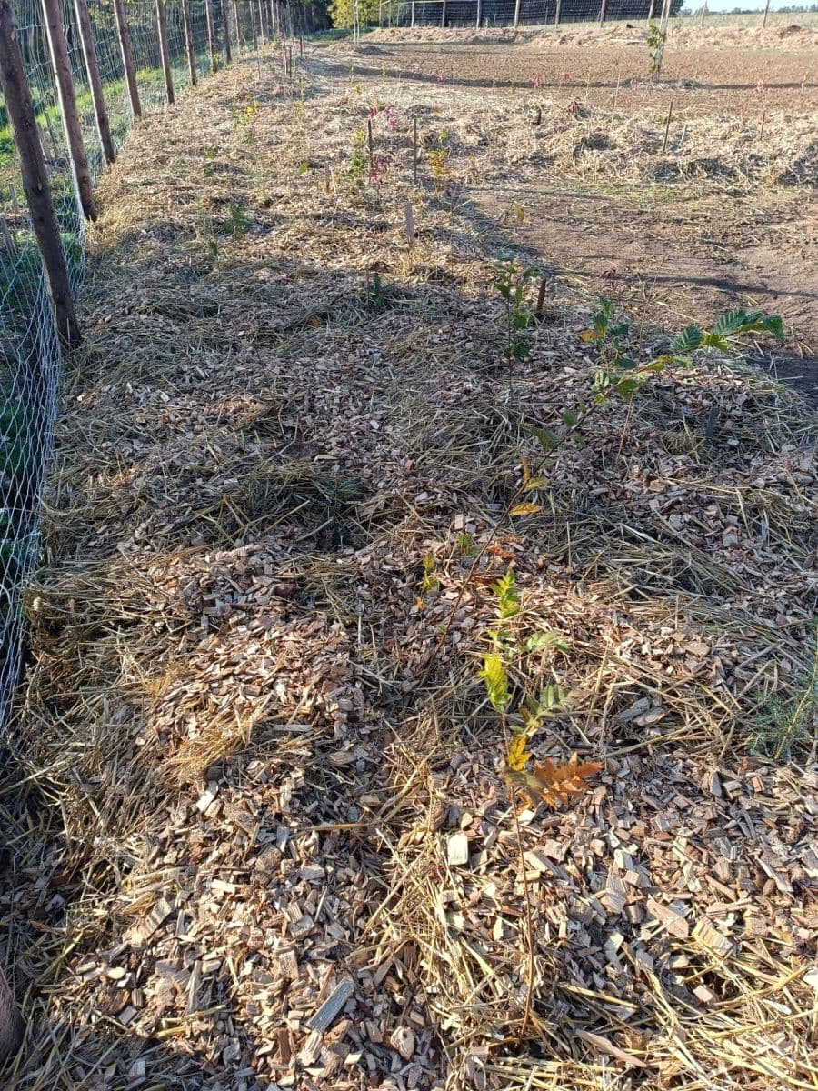 plot to rent, 1,400 m², Třebonín, Středočeský Region plot to rent, 1,400 m², Třebonín, Středočeský Region