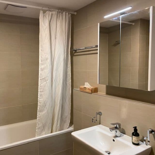 1 bedroom with open-plan kitchen flat to rent, 63 m², Zvěřinova, Prague, Prague 1 bedroom with open-plan kitchen flat to rent, 63 m², Zvěřinova, Prague, Prague