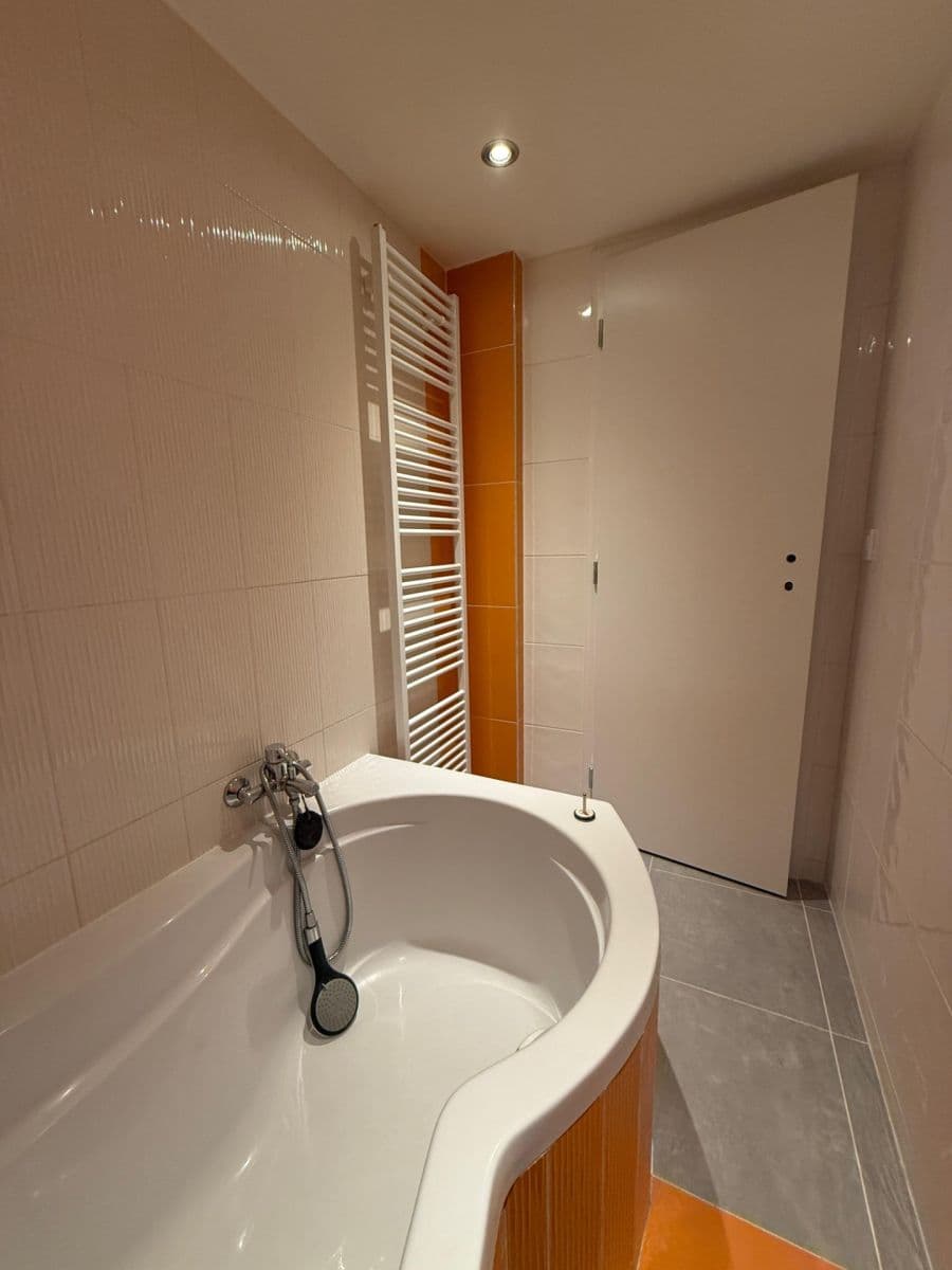 Small studio flat to rent, 15 m², Radlická, Prague, Prague Small studio flat to rent, 15 m², Radlická, Prague, Prague