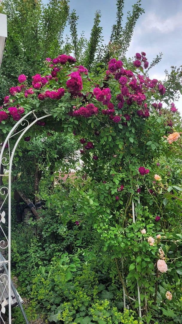 2 bedroom flat for sale, 68 m², Bergstr. 18, Burgrieden, Baden-Württemberg 2 bedroom flat for sale, 68 m², Bergstr. 18, Burgrieden, Baden-Württemberg