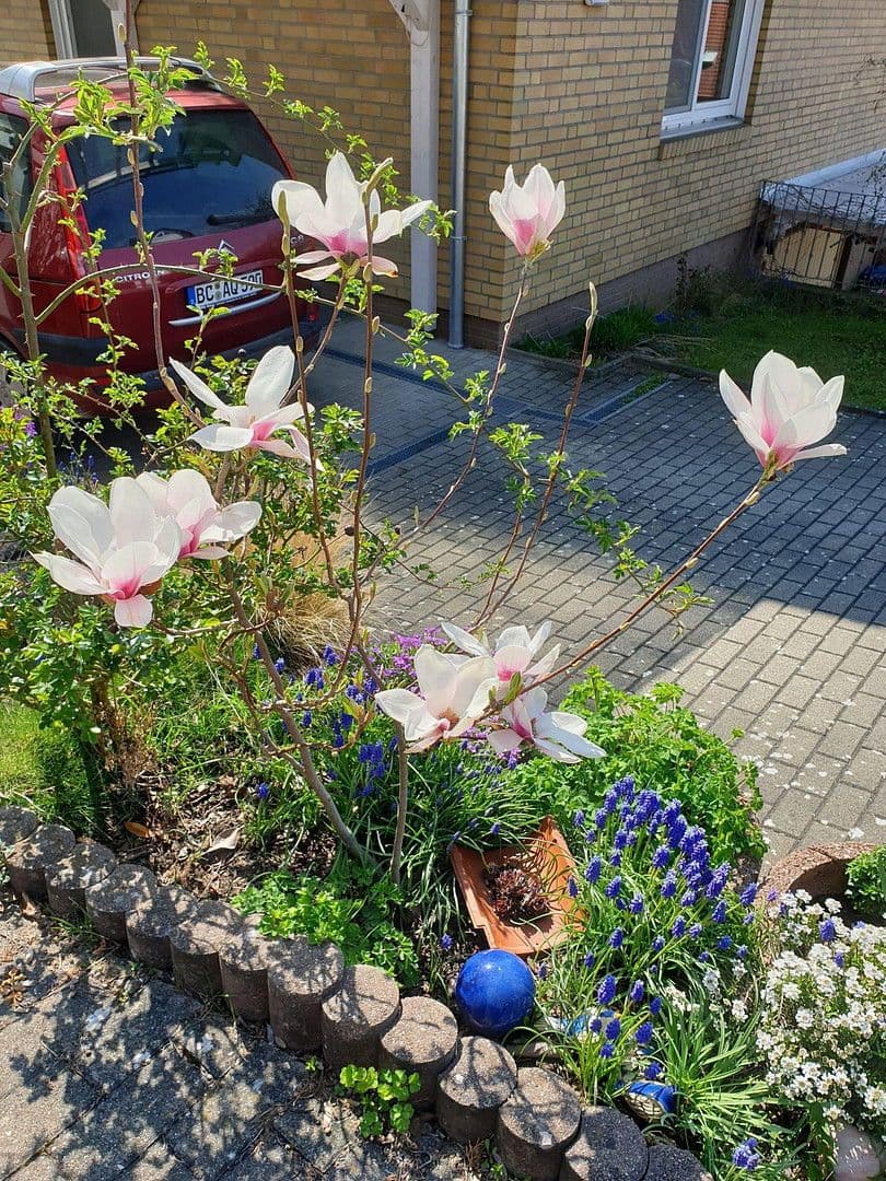 2 bedroom flat for sale, 68 m², Bergstr. 18, Burgrieden, Baden-Württemberg 2 bedroom flat for sale, 68 m², Bergstr. 18, Burgrieden, Baden-Württemberg