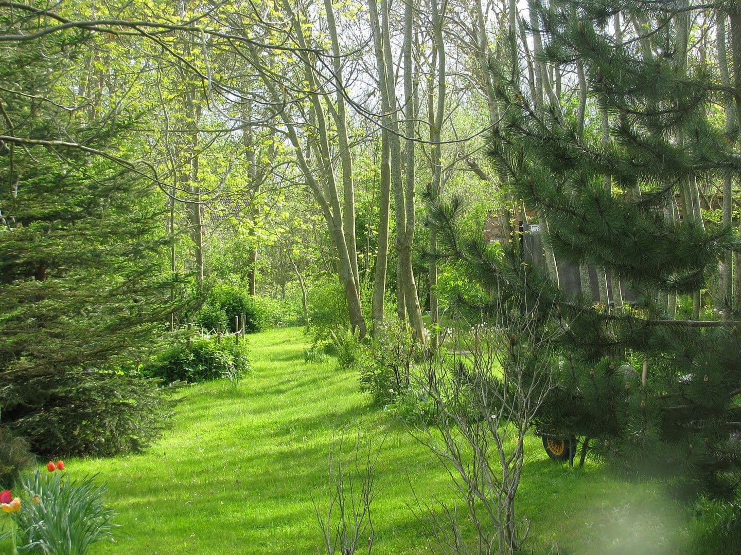 plot for sale, 3,423 m², Dranske, Mecklenburg-Vorpommern plot for sale, 3,423 m², Dranske, Mecklenburg-Vorpommern