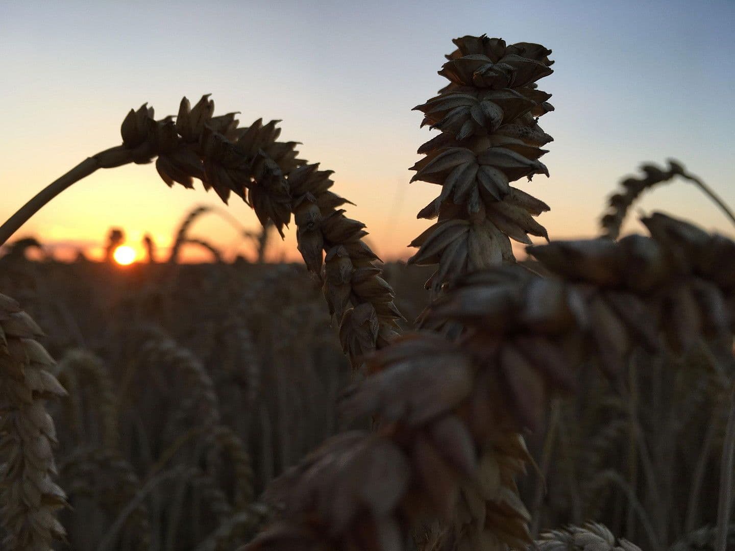 plot for sale, 3,423 m², Dranske, Mecklenburg-Vorpommern plot for sale, 3,423 m², Dranske, Mecklenburg-Vorpommern