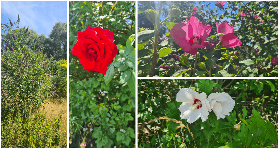 house for sale, 157 m², Dorfstraße 7, Havelsee, Brandenburg house for sale, 157 m², Dorfstraße 7, Havelsee, Brandenburg