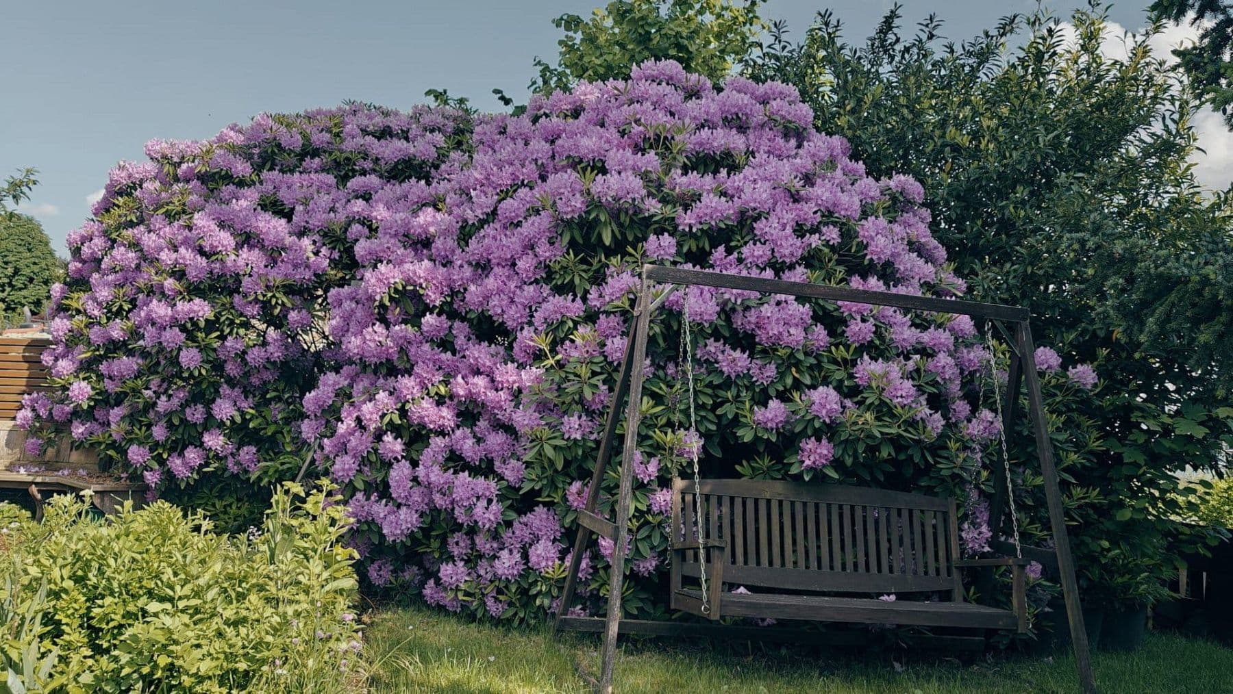 house for sale, 493 m², Glashütten, Hesse house for sale, 493 m², Glashütten, Hesse