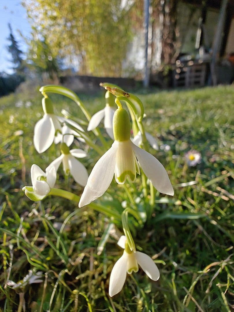 house for sale, 493 m², Glashütten, Hesse house for sale, 493 m², Glashütten, Hesse