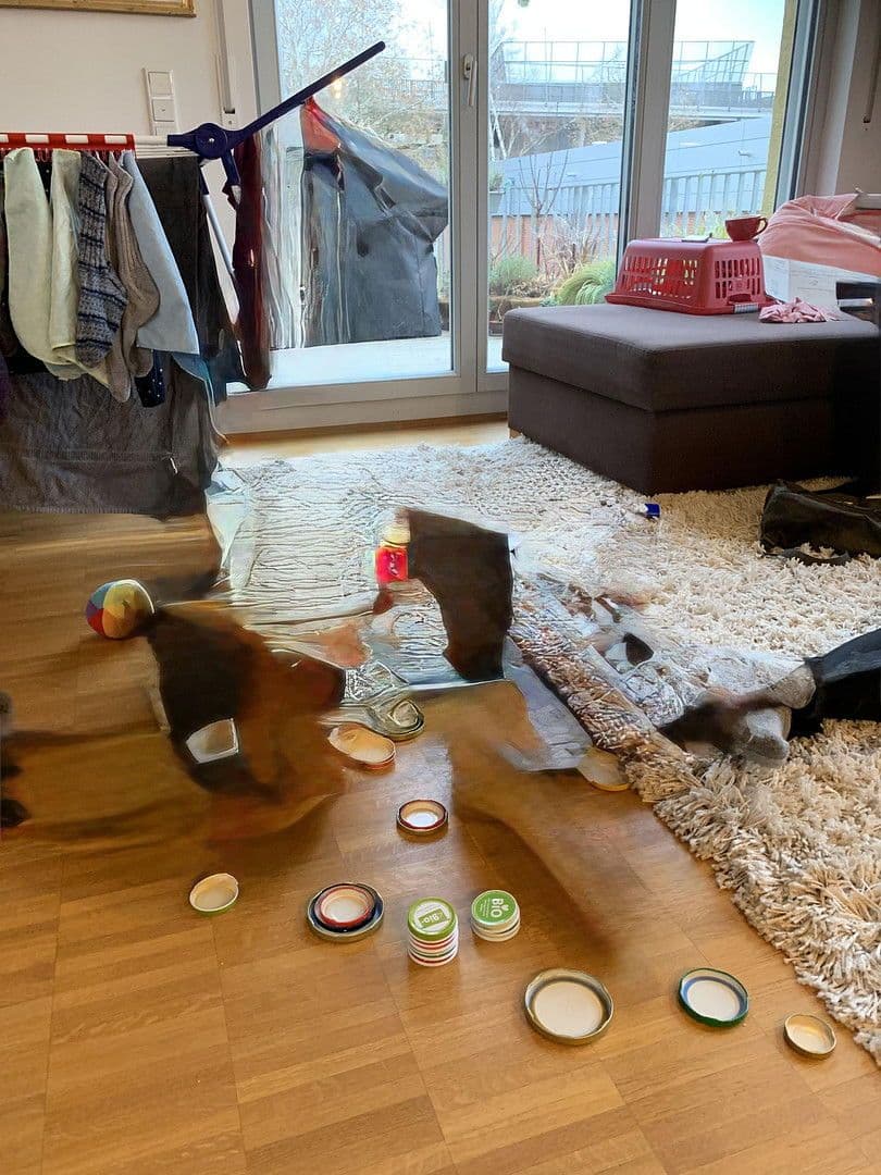 3 bedroom with open-plan kitchen flat for sale, 82 m², Berlin, Berlin 3 bedroom with open-plan kitchen flat for sale, 82 m², Berlin, Berlin