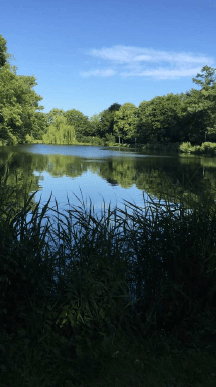 house for sale, 329 m², Glückstadt, Schleswig-Holstein house for sale, 329 m², Glückstadt, Schleswig-Holstein