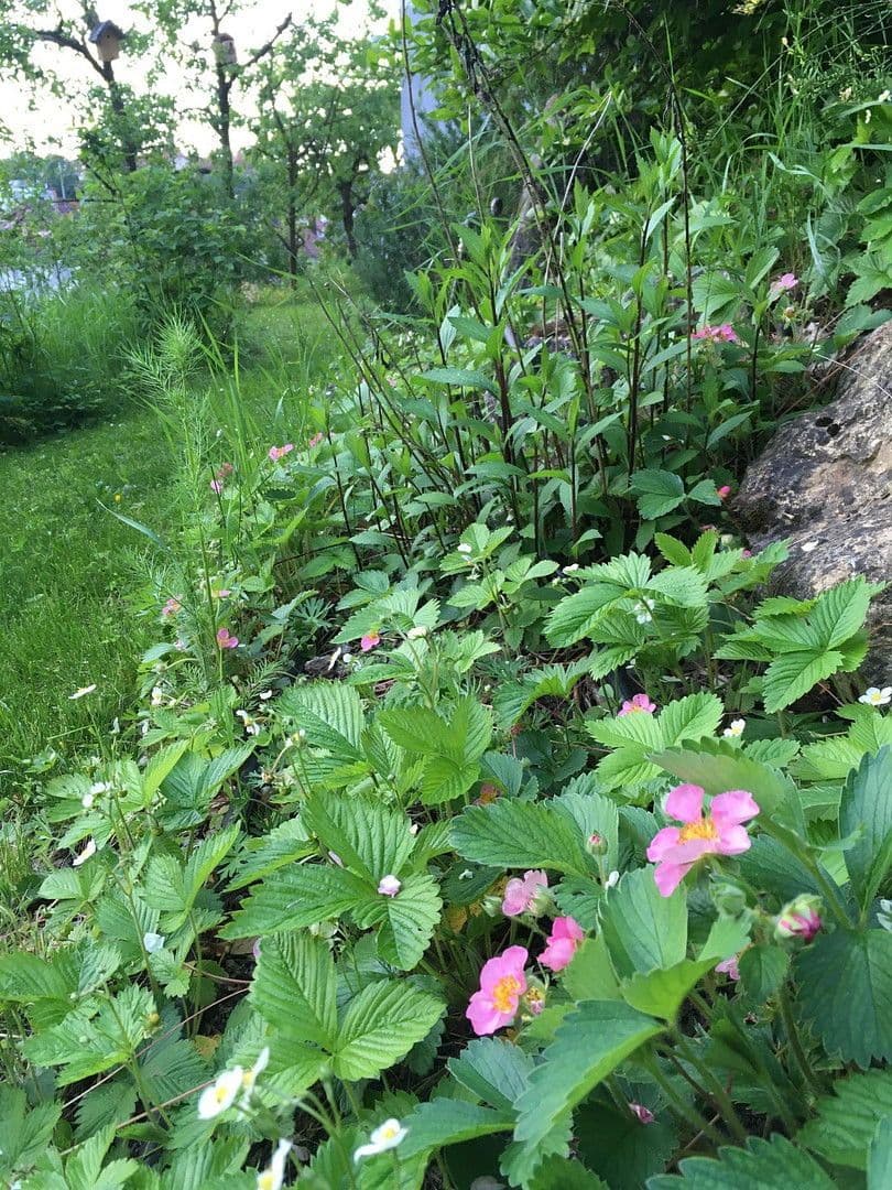 house for sale, 165 m², Backnang, Baden-Württemberg house for sale, 165 m², Backnang, Baden-Württemberg