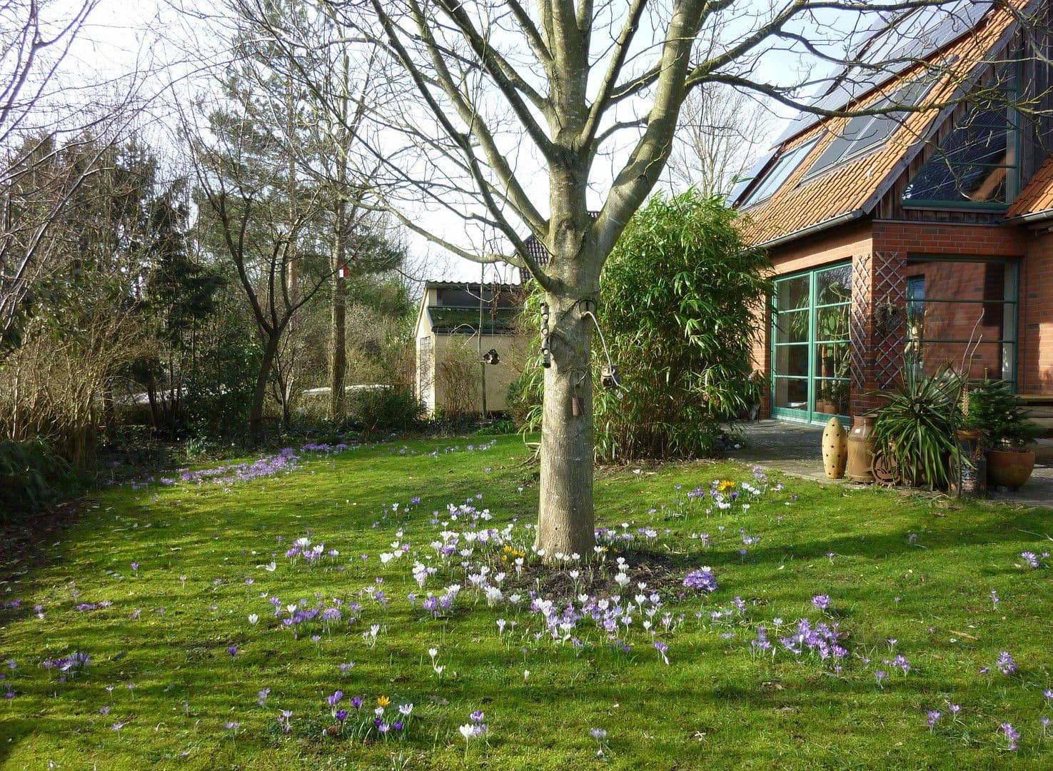 house for sale, 145 m², Haseldorf, Schleswig-Holstein house for sale, 145 m², Haseldorf, Schleswig-Holstein