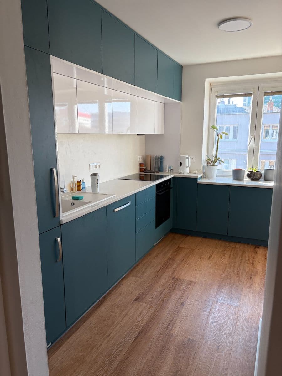 1 bedroom with open-plan kitchen flat to rent, 53 m², Vodova, Brno, Jihomoravský Region 1 bedroom with open-plan kitchen flat to rent, 53 m², Vodova, Brno, Jihomoravský Region