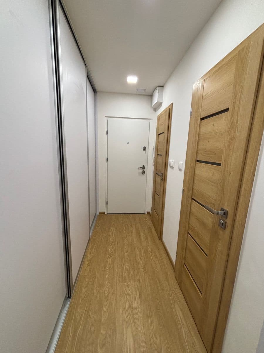 1 bedroom with open-plan kitchen flat to rent, 47 m², Zvoncovitá, Prague, Prague 1 bedroom with open-plan kitchen flat to rent, 47 m², Zvoncovitá, Prague, Prague