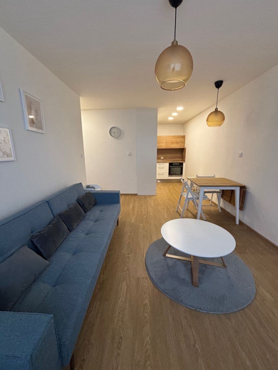 1 bedroom with open-plan kitchen flat to rent, 47 m², Zvoncovitá, Prague, Prague 1 bedroom with open-plan kitchen flat to rent, 47 m², Zvoncovitá, Prague, Prague