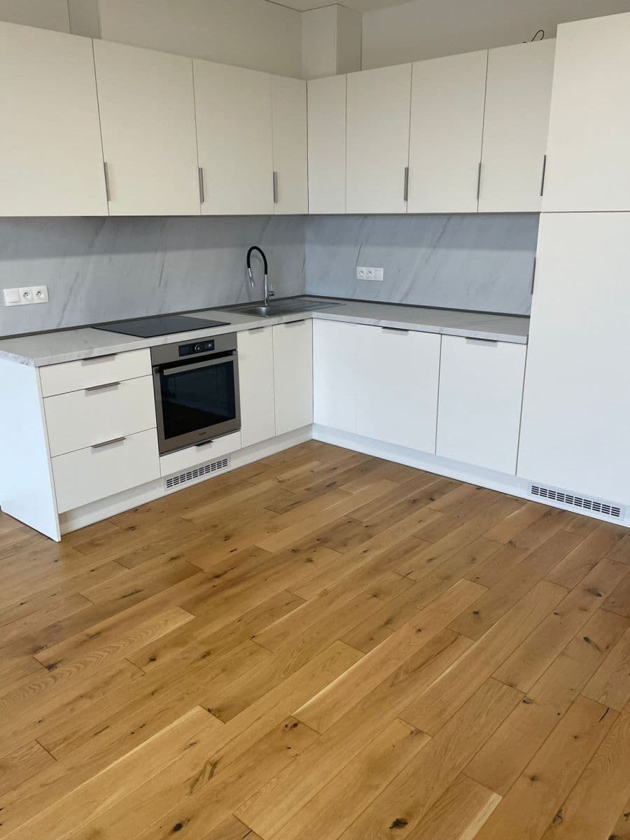 1 bedroom with open-plan kitchen flat to rent, 48 m², Na Valentince, Prague, Prague 1 bedroom with open-plan kitchen flat to rent, 48 m², Na Valentince, Prague, Prague