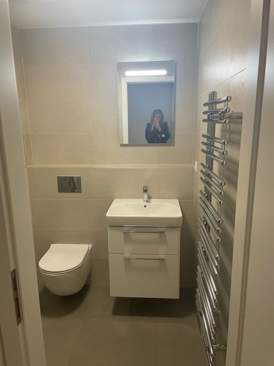 1 bedroom with open-plan kitchen flat to rent, 48 m², Na Valentince, Prague, Prague 1 bedroom with open-plan kitchen flat to rent, 48 m², Na Valentince, Prague, Prague