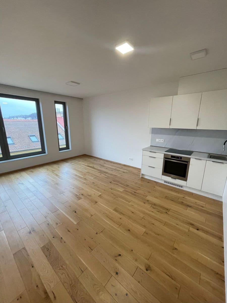 1 bedroom with open-plan kitchen flat to rent, 48 m², Na Valentince, Prague, Prague 1 bedroom with open-plan kitchen flat to rent, 48 m², Na Valentince, Prague, Prague
