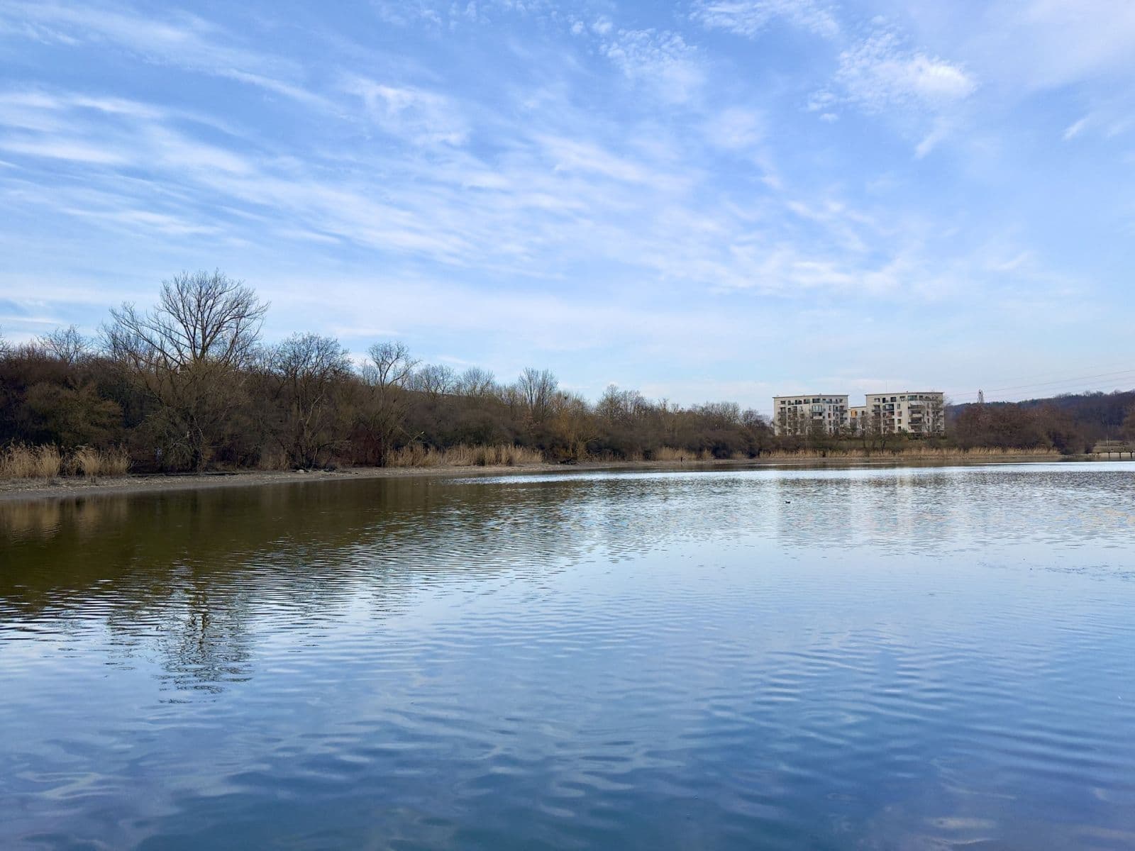 Studio flat to rent, 33 m², Poděbradská, Prague, Prague Studio flat to rent, 33 m², Poděbradská, Prague, Prague