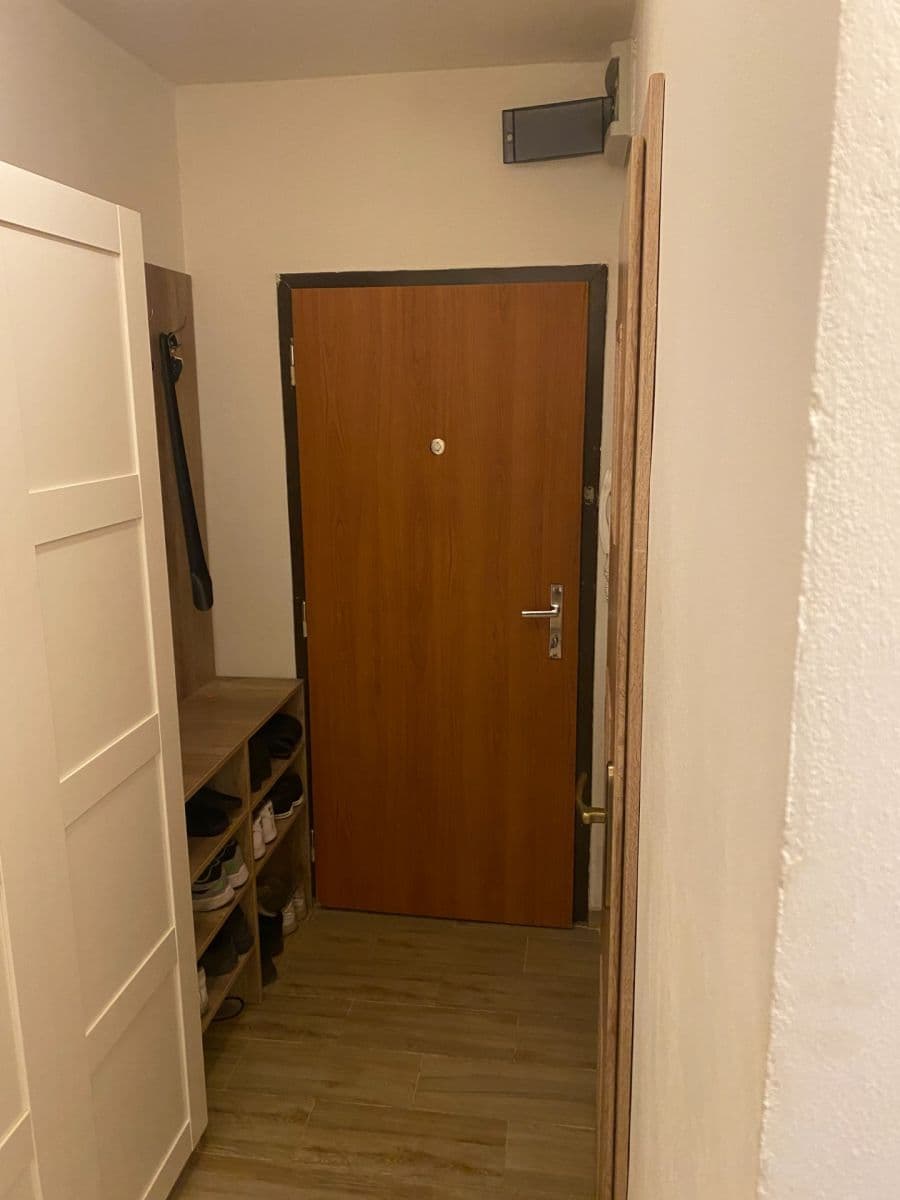 1 bedroom with open-plan kitchen flat to rent, 46 m², Poznaňská, Prague, Prague 1 bedroom with open-plan kitchen flat to rent, 46 m², Poznaňská, Prague, Prague