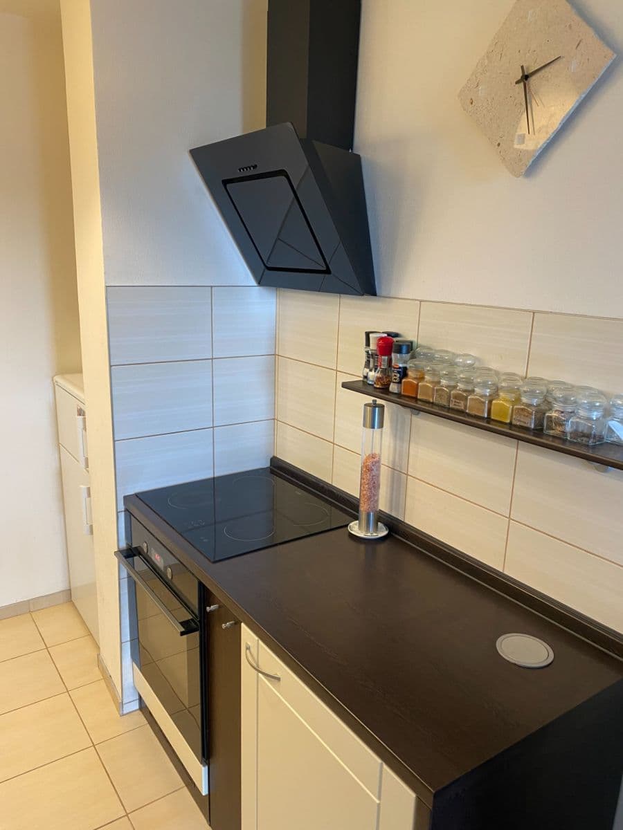 1 bedroom with open-plan kitchen flat to rent, 46 m², Poznaňská, Prague, Prague 1 bedroom with open-plan kitchen flat to rent, 46 m², Poznaňská, Prague, Prague