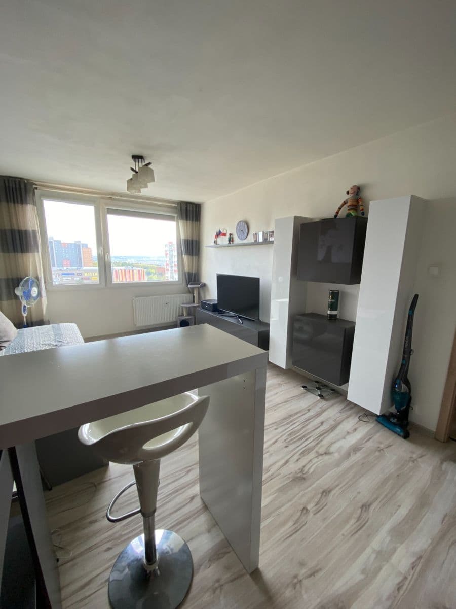 1 bedroom with open-plan kitchen flat to rent, 46 m², Poznaňská, Prague, Prague 1 bedroom with open-plan kitchen flat to rent, 46 m², Poznaňská, Prague, Prague