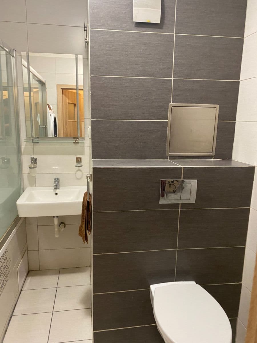 1 bedroom with open-plan kitchen flat to rent, 46 m², Poznaňská, Prague, Prague 1 bedroom with open-plan kitchen flat to rent, 46 m², Poznaňská, Prague, Prague