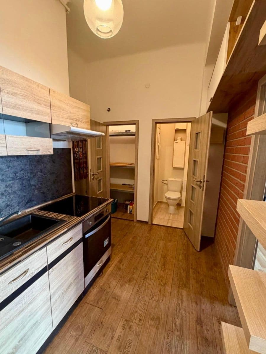 1 bedroom with open-plan kitchen flat for sale, 51 m², Biskupcova, Prague, Prague 1 bedroom with open-plan kitchen flat for sale, 51 m², Biskupcova, Prague, Prague