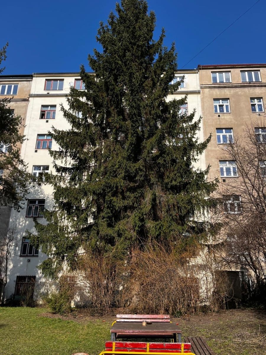 1 bedroom with open-plan kitchen flat for sale, 51 m², Biskupcova, Prague, Prague 1 bedroom with open-plan kitchen flat for sale, 51 m², Biskupcova, Prague, Prague