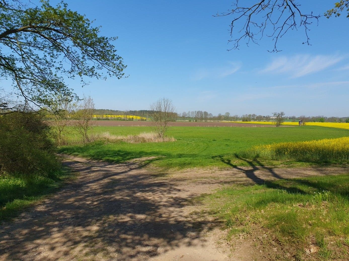 plot for sale, 5,702 m², Mlékosrby, Královéhradecký Region plot for sale, 5,702 m², Mlékosrby, Královéhradecký Region