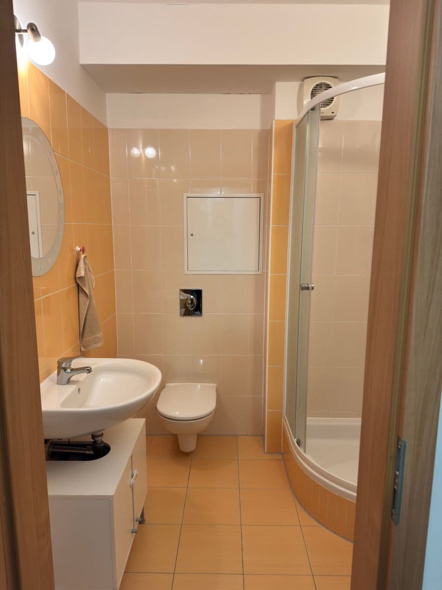 1 bedroom with open-plan kitchen flat for sale, 48 m², Hvozdecká, Brno, Jihomoravský Region 1 bedroom with open-plan kitchen flat for sale, 48 m², Hvozdecká, Brno, Jihomoravský Region