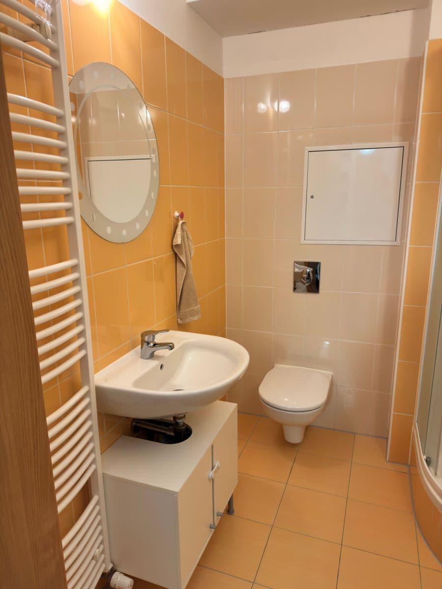 1 bedroom with open-plan kitchen flat for sale, 48 m², Hvozdecká, Brno, Jihomoravský Region 1 bedroom with open-plan kitchen flat for sale, 48 m², Hvozdecká, Brno, Jihomoravský Region