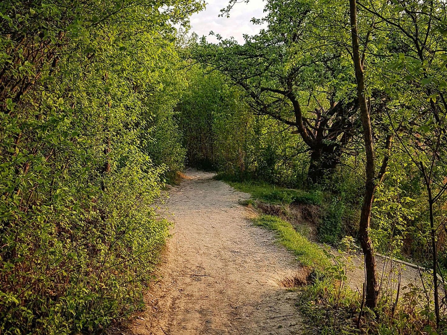 3 bedroom flat for sale, 86 m², Carl-Appel-Straße 7, Wien, Vienna 3 bedroom flat for sale, 86 m², Carl-Appel-Straße 7, Wien, Vienna