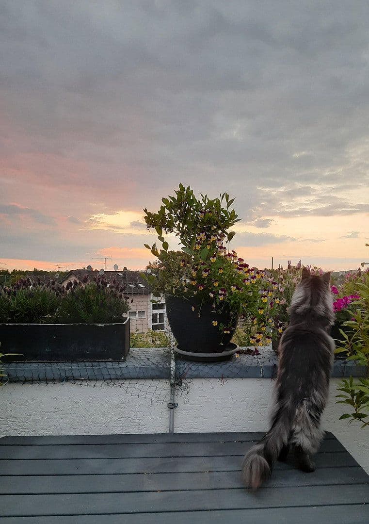 7 bedroom flat for sale, 192 m², Bergisch Gladbach, North Rhine-Westphalia 7 bedroom flat for sale, 192 m², Bergisch Gladbach, North Rhine-Westphalia