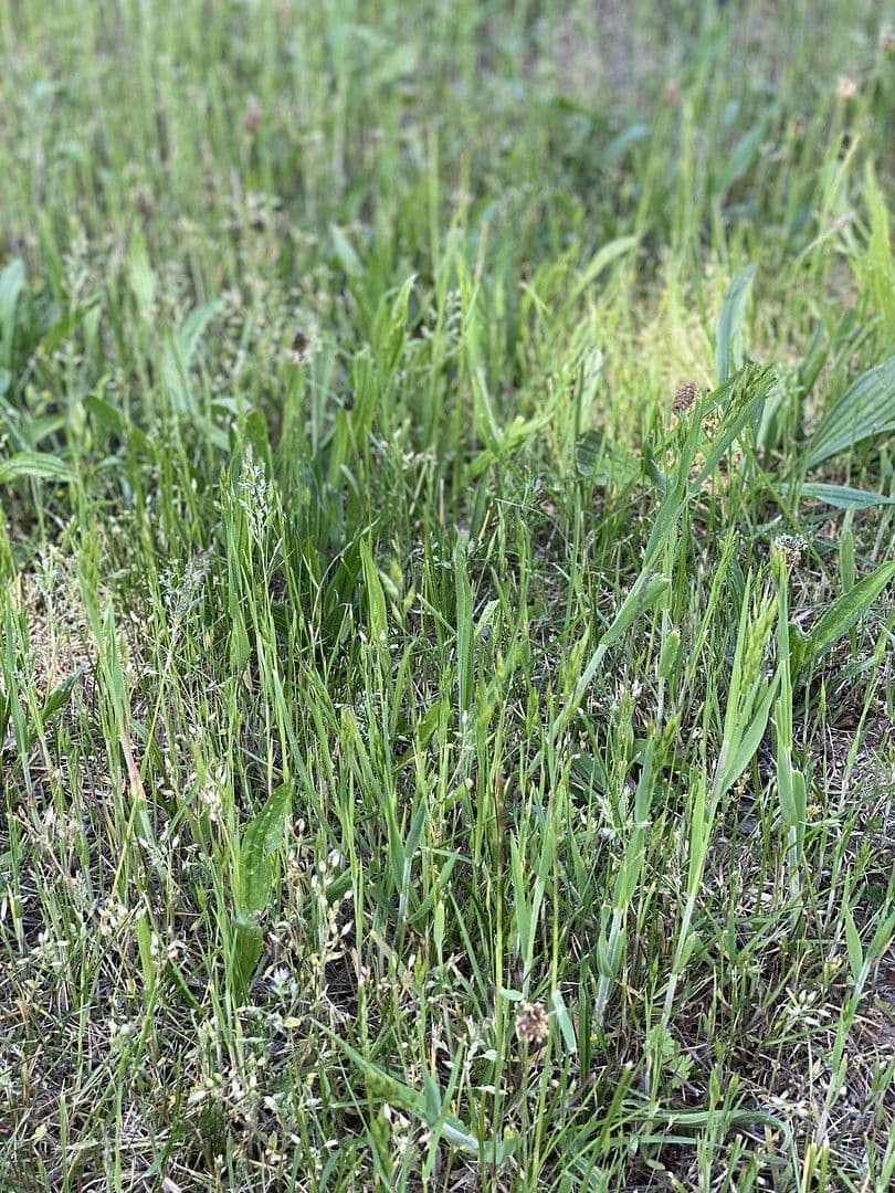 plot for sale, 595 m², Fürth, Bavaria plot for sale, 595 m², Fürth, Bavaria