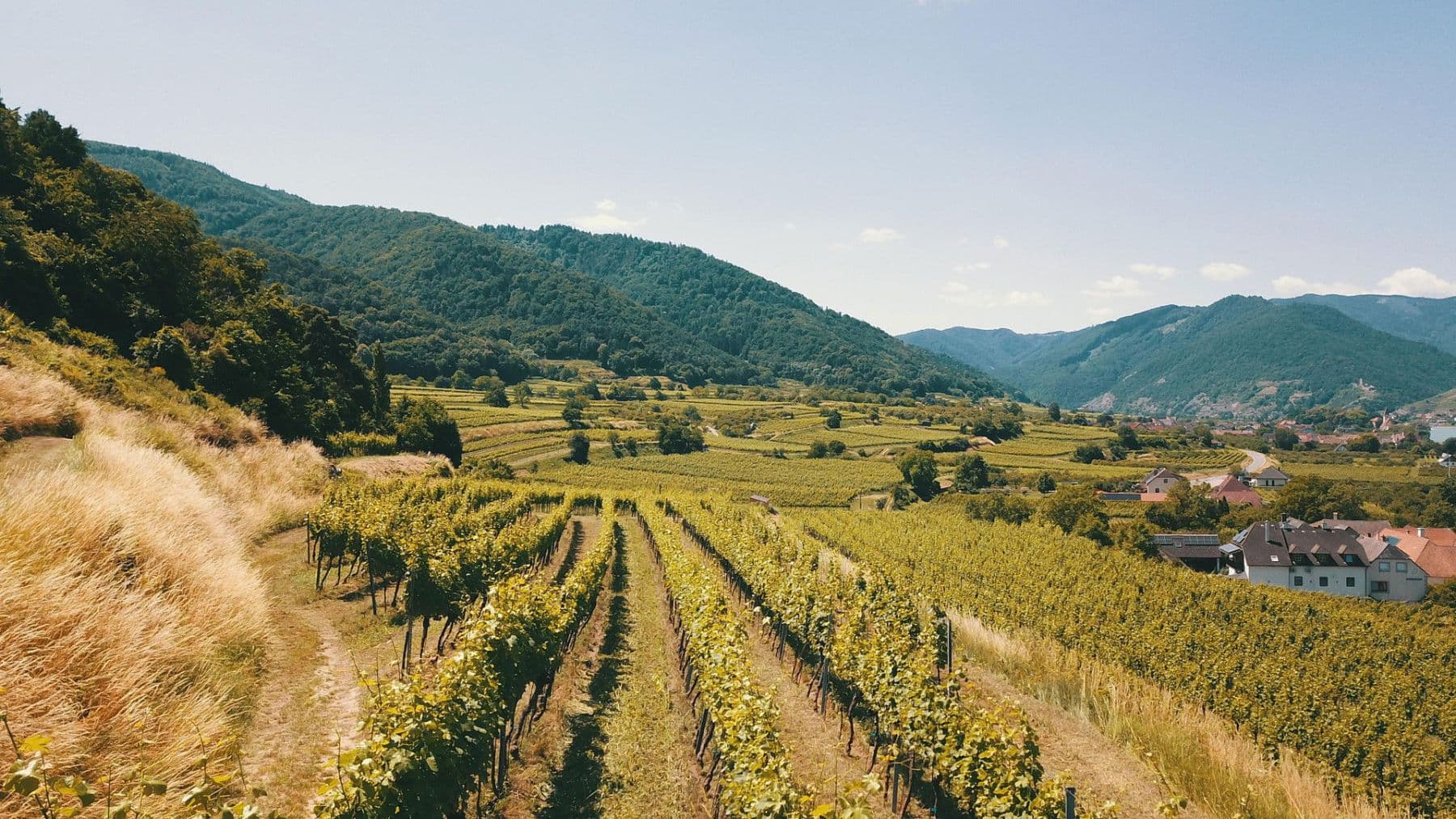 plot for sale, 3,596 m², Mitterarnsdorf, Lower Austria plot for sale, 3,596 m², Mitterarnsdorf, Lower Austria