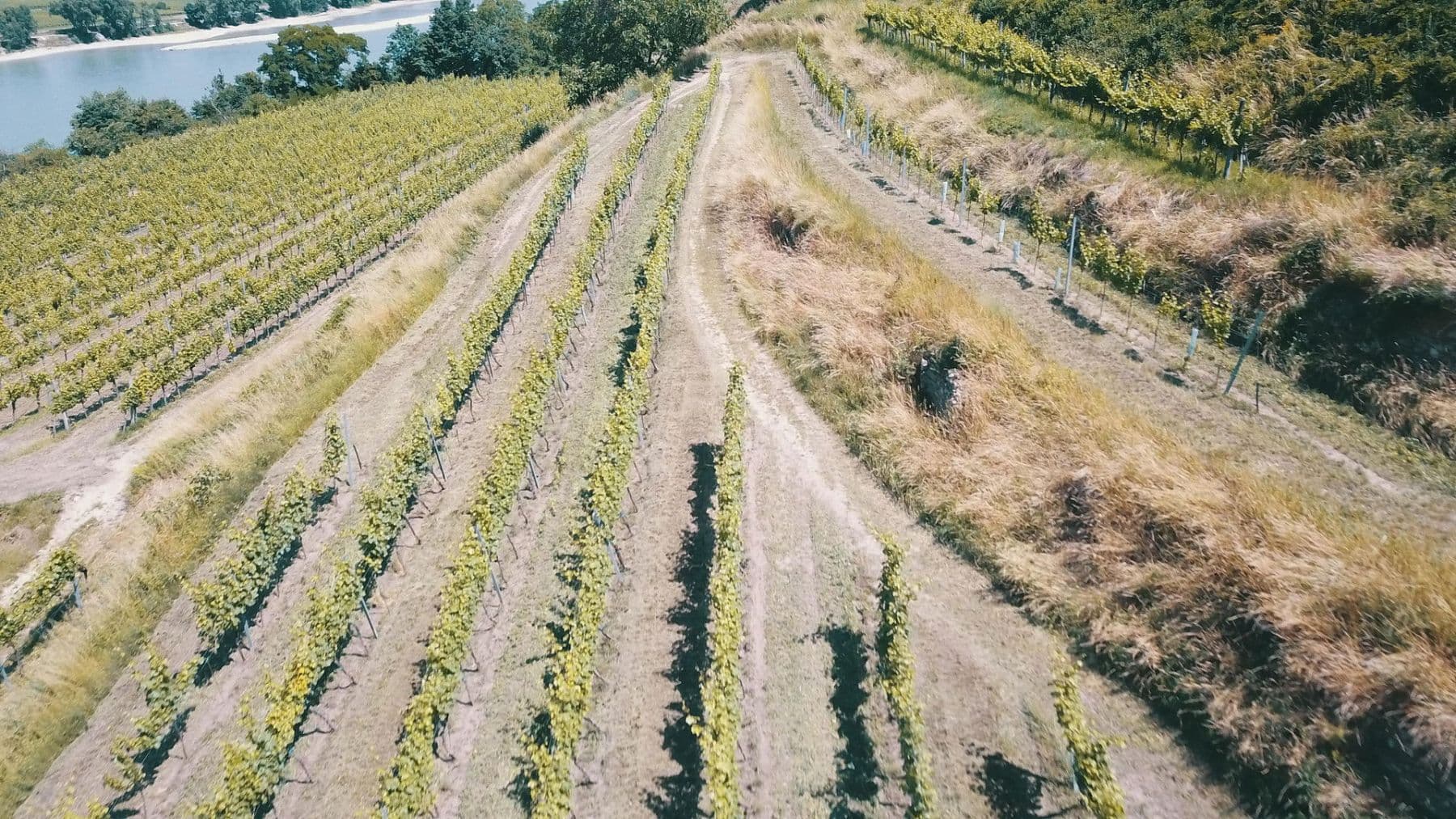 plot for sale, 3,596 m², Mitterarnsdorf, Lower Austria plot for sale, 3,596 m², Mitterarnsdorf, Lower Austria