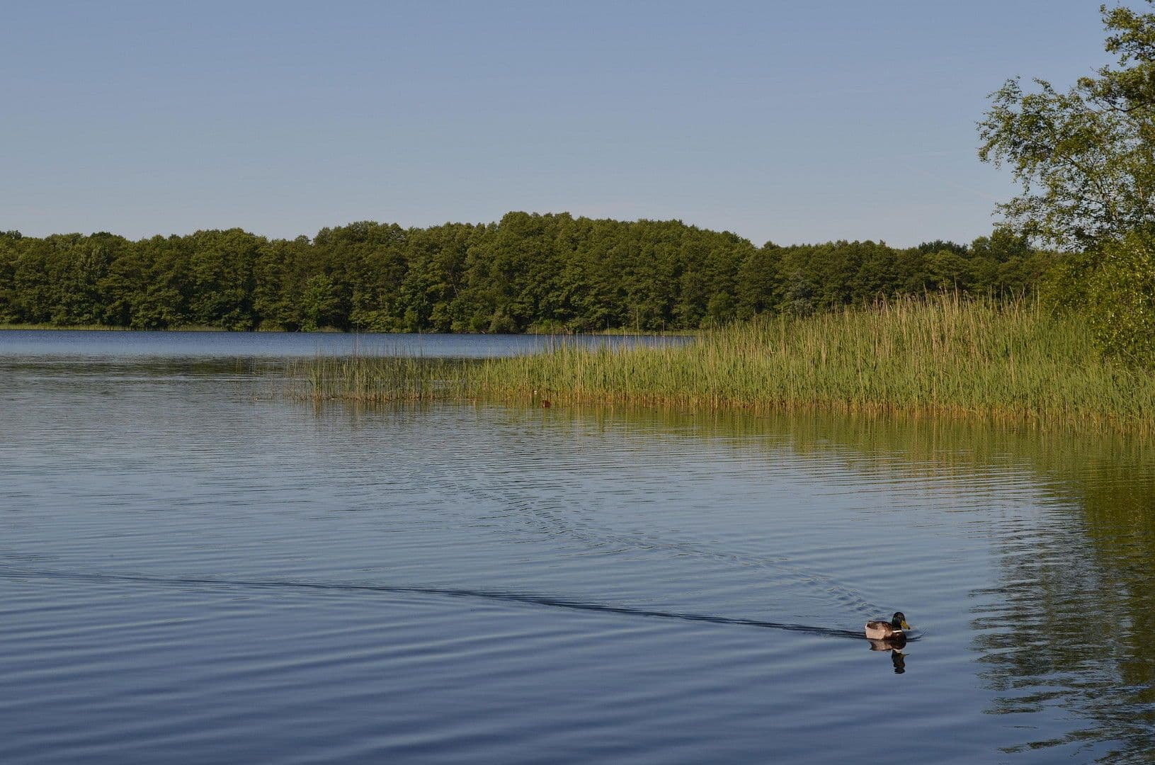 house for sale, 89 m², Wildgansstraße 71, Mirow, Mecklenburg-Vorpommern house for sale, 89 m², Wildgansstraße 71, Mirow, Mecklenburg-Vorpommern