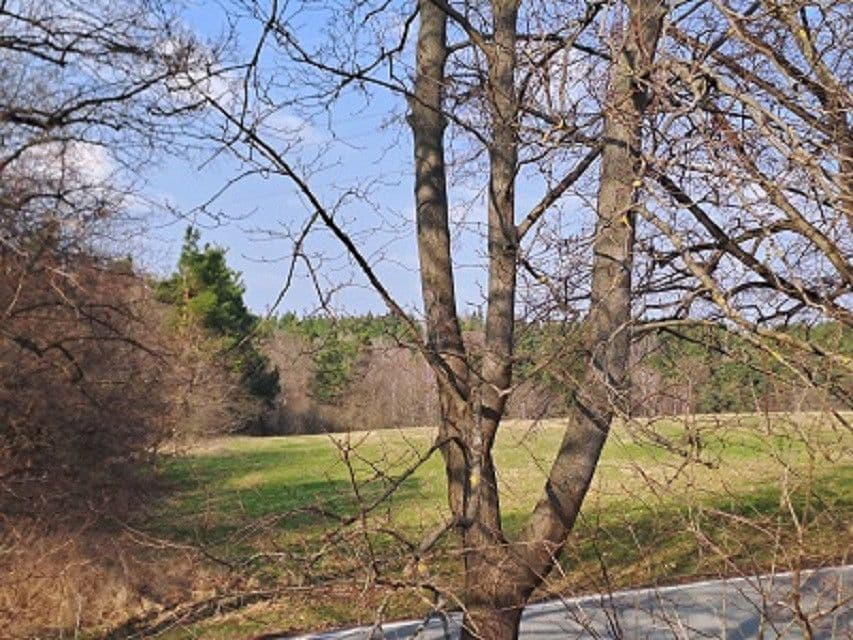plot for sale, 980 m², Adamov, Jihočeský Region plot for sale, 980 m², Adamov, Jihočeský Region