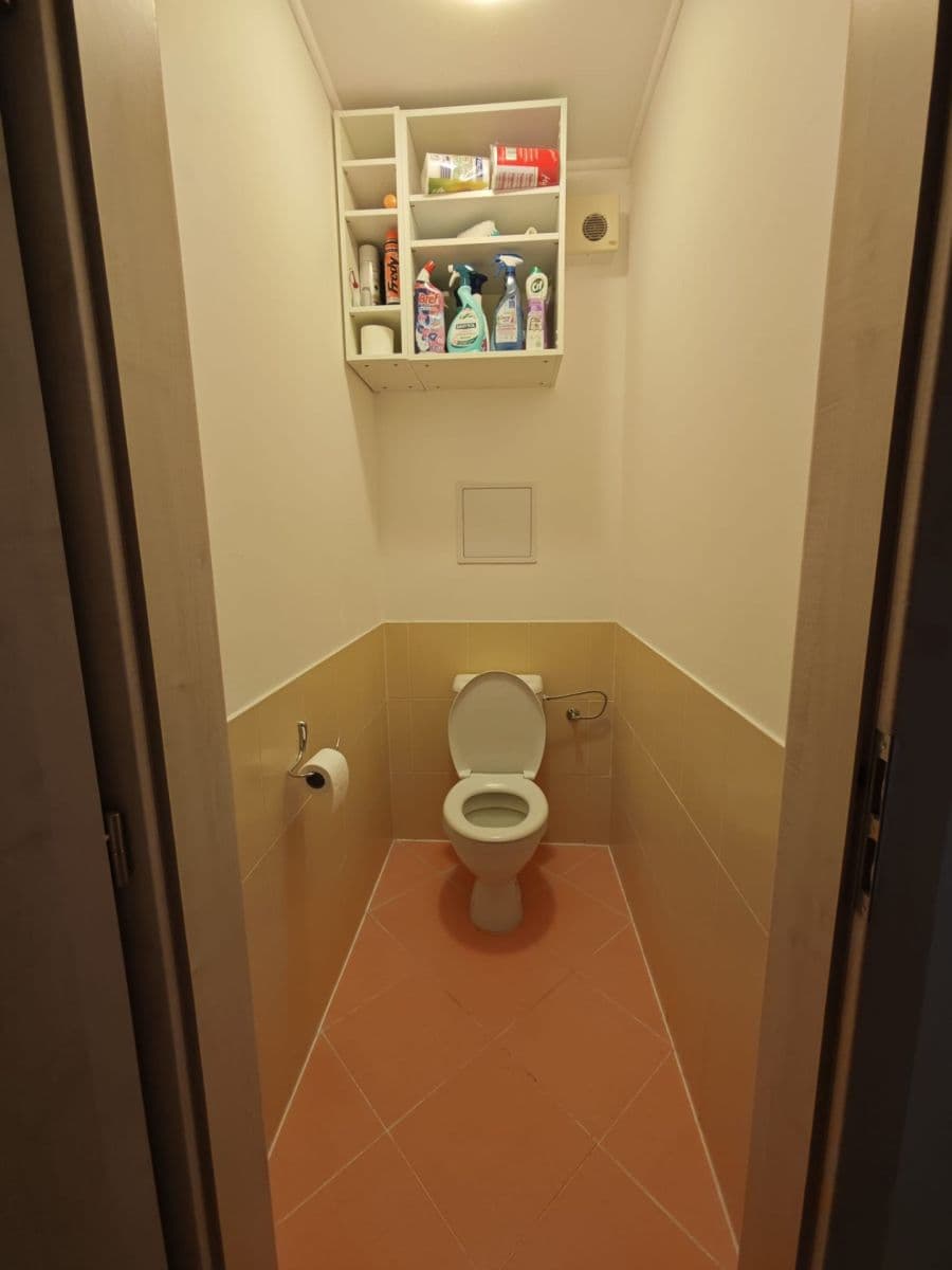 1 bedroom with open-plan kitchen flat to rent, 71 m², Marie Podvalové, Prague, Prague 1 bedroom with open-plan kitchen flat to rent, 71 m², Marie Podvalové, Prague, Prague