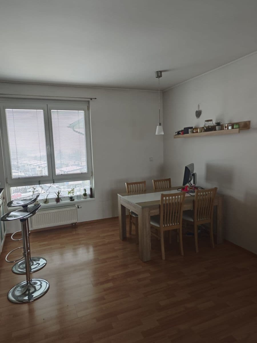 1 bedroom with open-plan kitchen flat to rent, 71 m², Marie Podvalové, Prague, Prague 1 bedroom with open-plan kitchen flat to rent, 71 m², Marie Podvalové, Prague, Prague