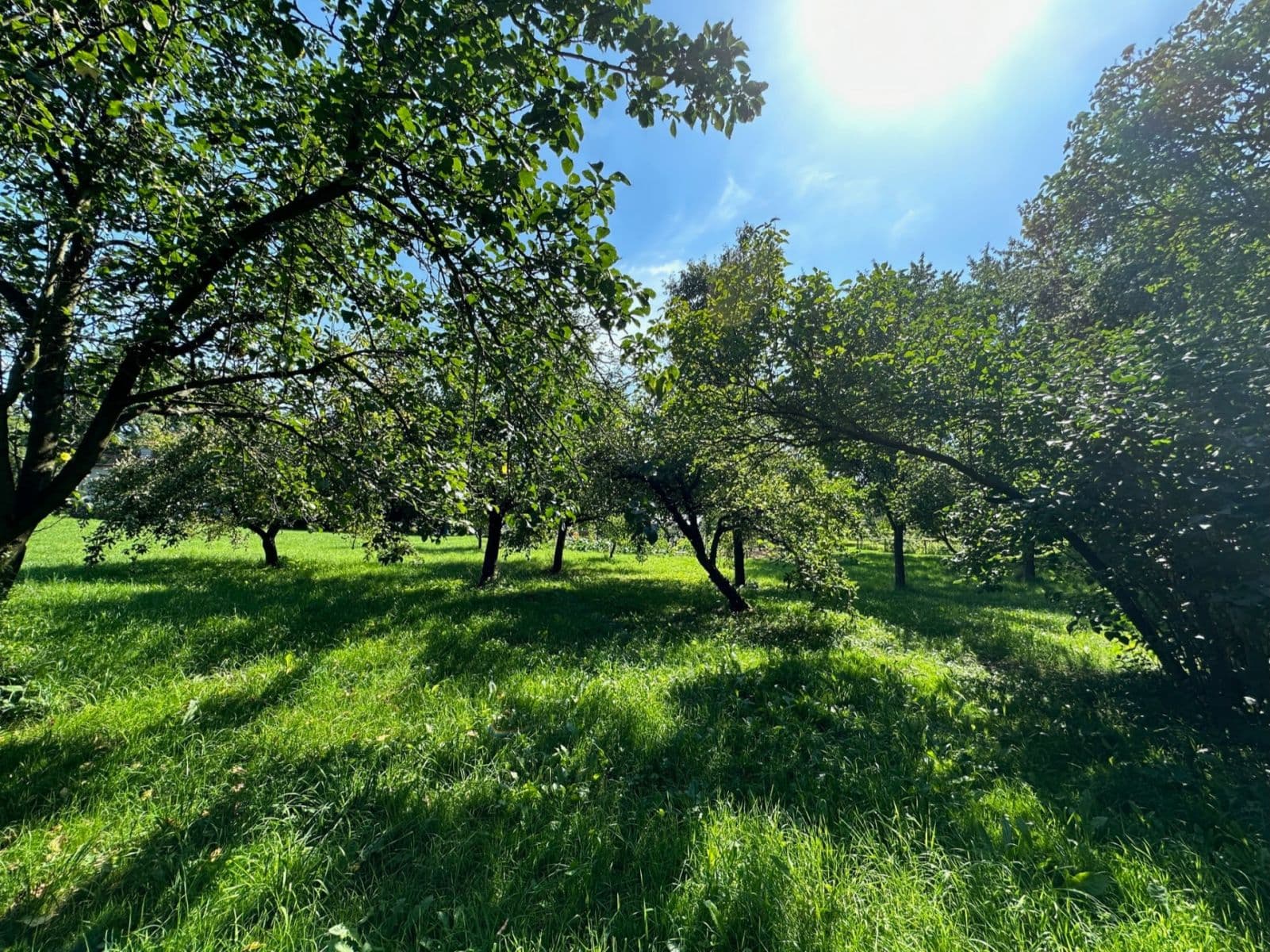 plot for sale, 2,549 m², Biskupice, Pardubický Region plot for sale, 2,549 m², Biskupice, Pardubický Region