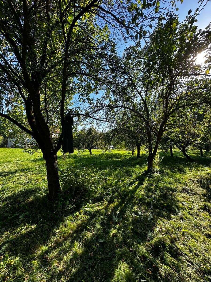 plot for sale, 2,549 m², Biskupice, Pardubický Region plot for sale, 2,549 m², Biskupice, Pardubický Region