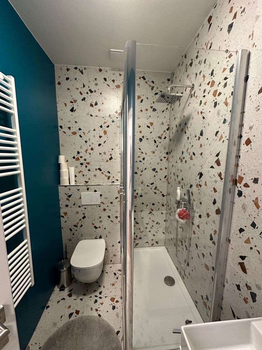 1 bedroom with open-plan kitchen flat to rent, 40 m², Za Návsí, Prague, Prague 1 bedroom with open-plan kitchen flat to rent, 40 m², Za Návsí, Prague, Prague