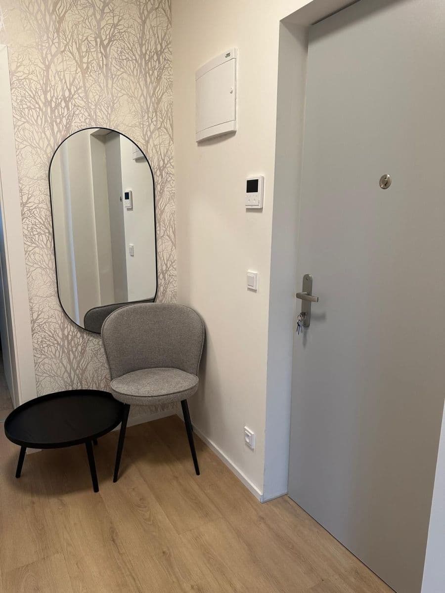 1 bedroom with open-plan kitchen flat to rent, 40 m², Za Návsí, Prague, Prague 1 bedroom with open-plan kitchen flat to rent, 40 m², Za Návsí, Prague, Prague