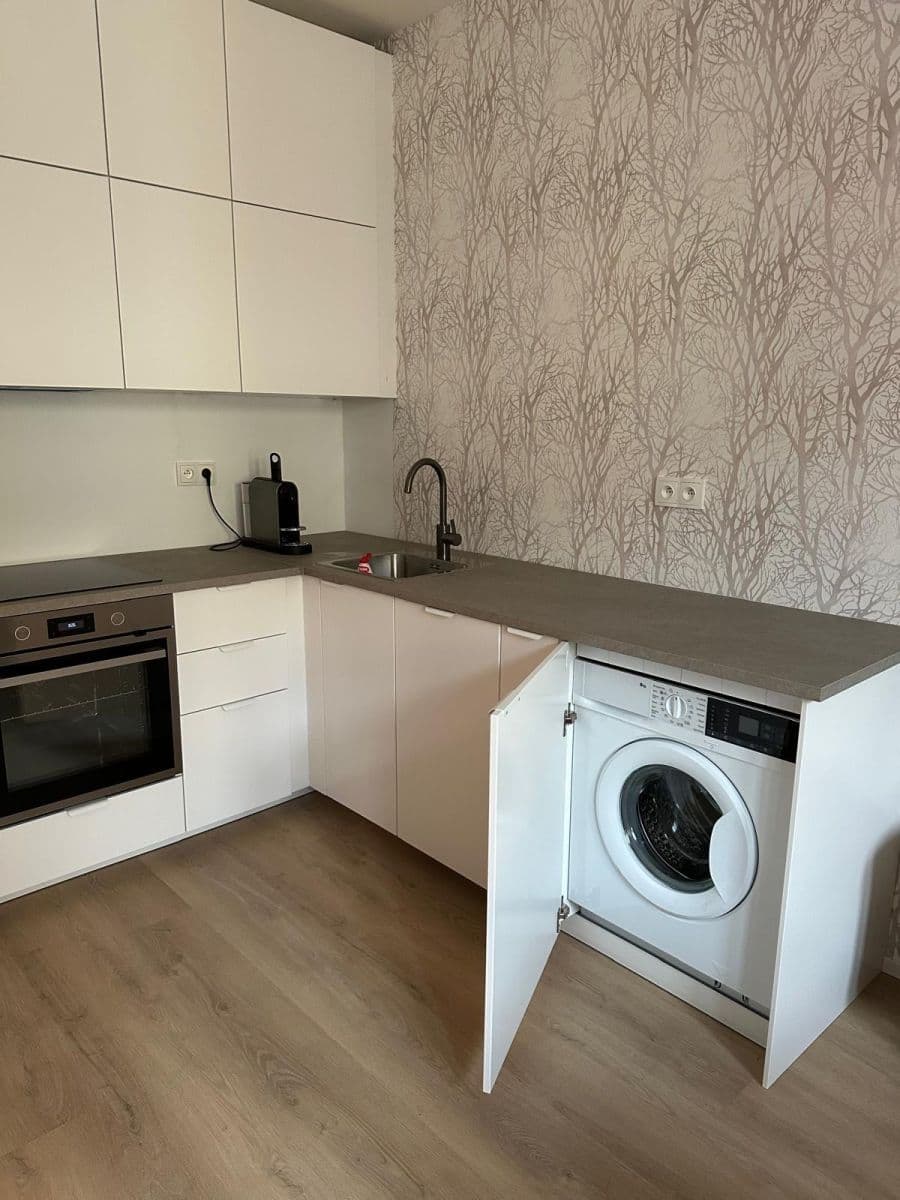 1 bedroom with open-plan kitchen flat to rent, 40 m², Za Návsí, Prague, Prague 1 bedroom with open-plan kitchen flat to rent, 40 m², Za Návsí, Prague, Prague