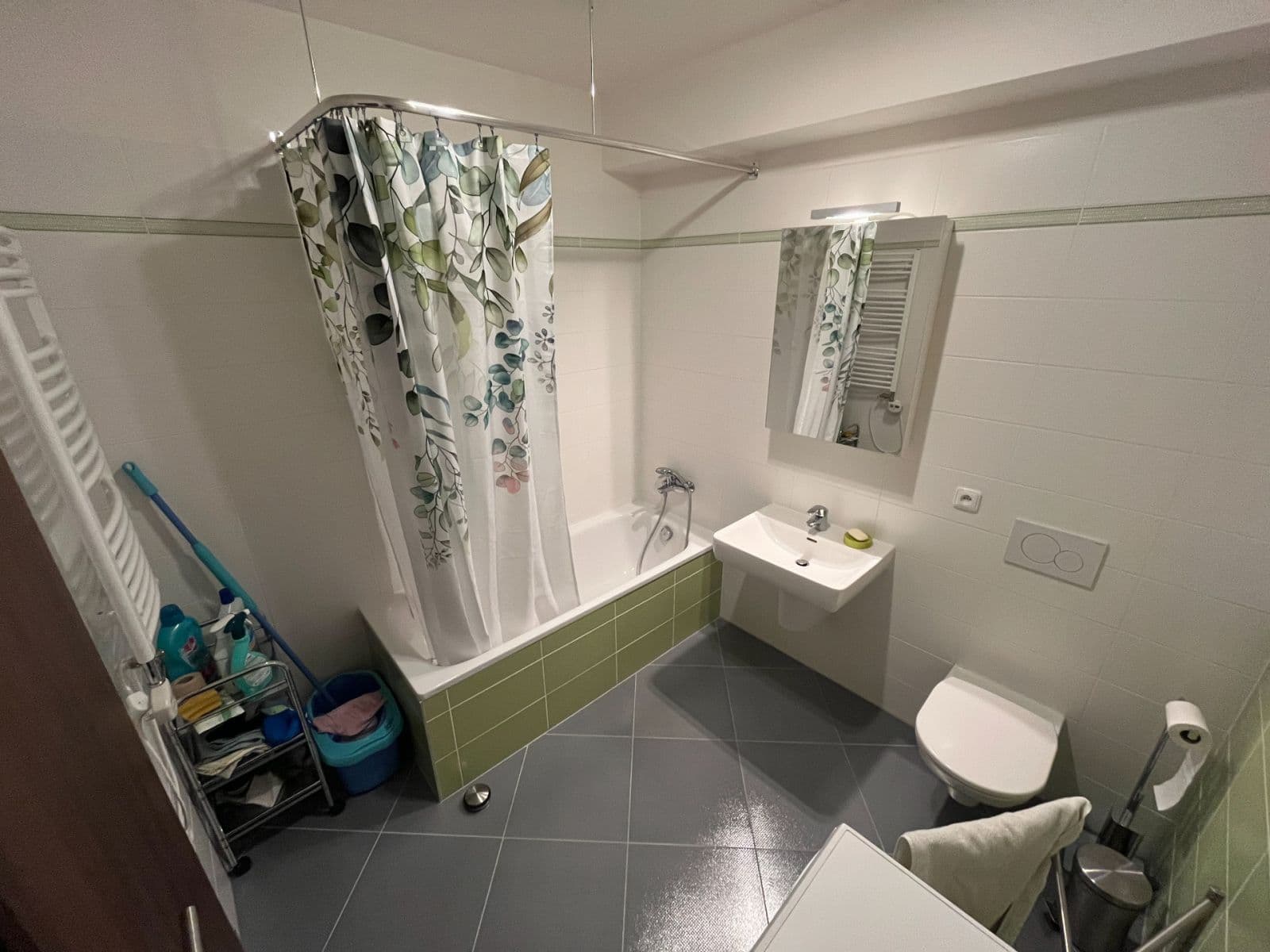 1 bedroom with open-plan kitchen flat to rent, 46 m², Svitákova, Prague, Prague 1 bedroom with open-plan kitchen flat to rent, 46 m², Svitákova, Prague, Prague