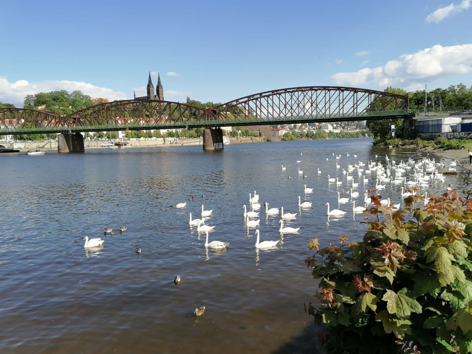 3 bedroom with open-plan kitchen flat for sale, 129 m², Svornosti, Prague, Prague 3 bedroom with open-plan kitchen flat for sale, 129 m², Svornosti, Prague, Prague