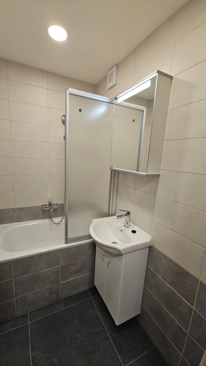 1 bedroom with open-plan kitchen flat to rent, 43 m², Bítovská, Prague, Prague 1 bedroom with open-plan kitchen flat to rent, 43 m², Bítovská, Prague, Prague