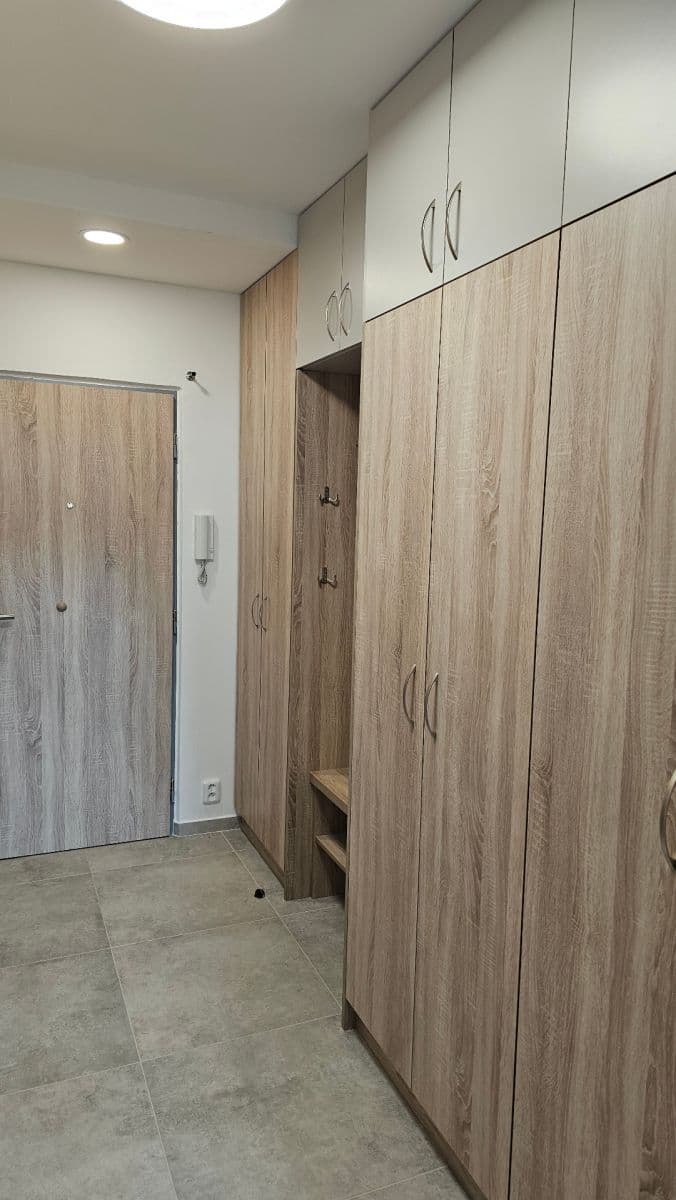 1 bedroom with open-plan kitchen flat to rent, 43 m², Bítovská, Prague, Prague 1 bedroom with open-plan kitchen flat to rent, 43 m², Bítovská, Prague, Prague