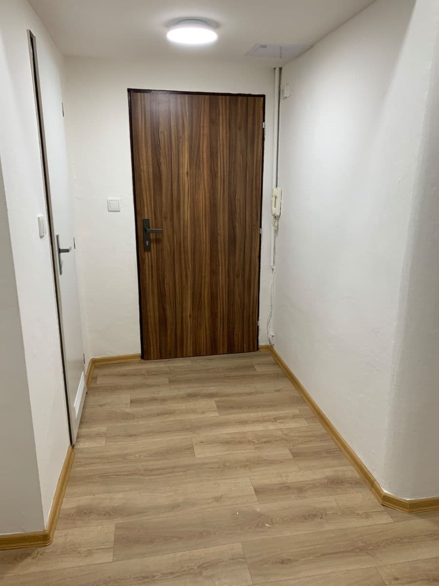 1 bedroom with open-plan kitchen flat to rent, 47 m², Hartigova, Prague, Prague 1 bedroom with open-plan kitchen flat to rent, 47 m², Hartigova, Prague, Prague